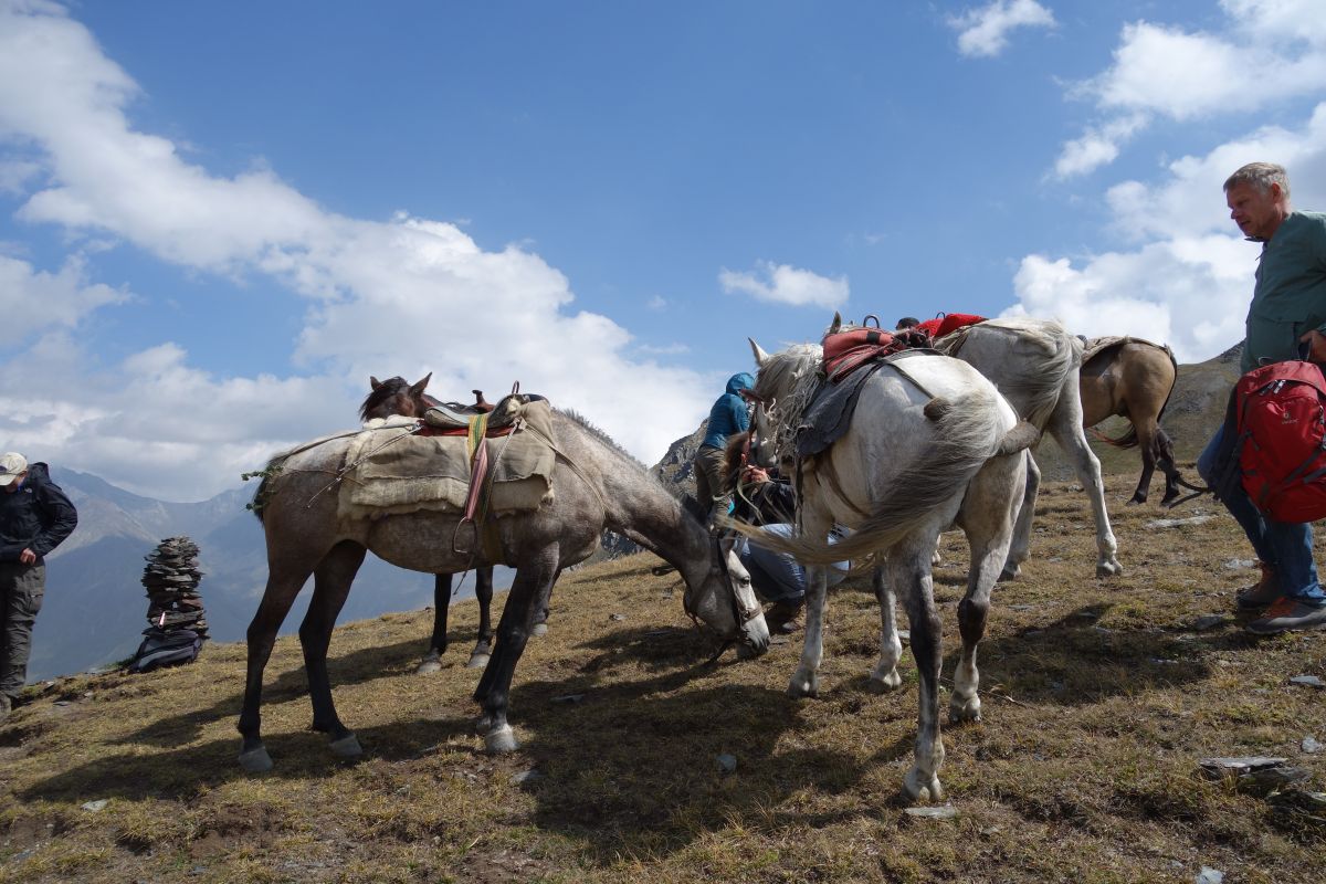    Horseback riding to the unknown tails of Svaneti