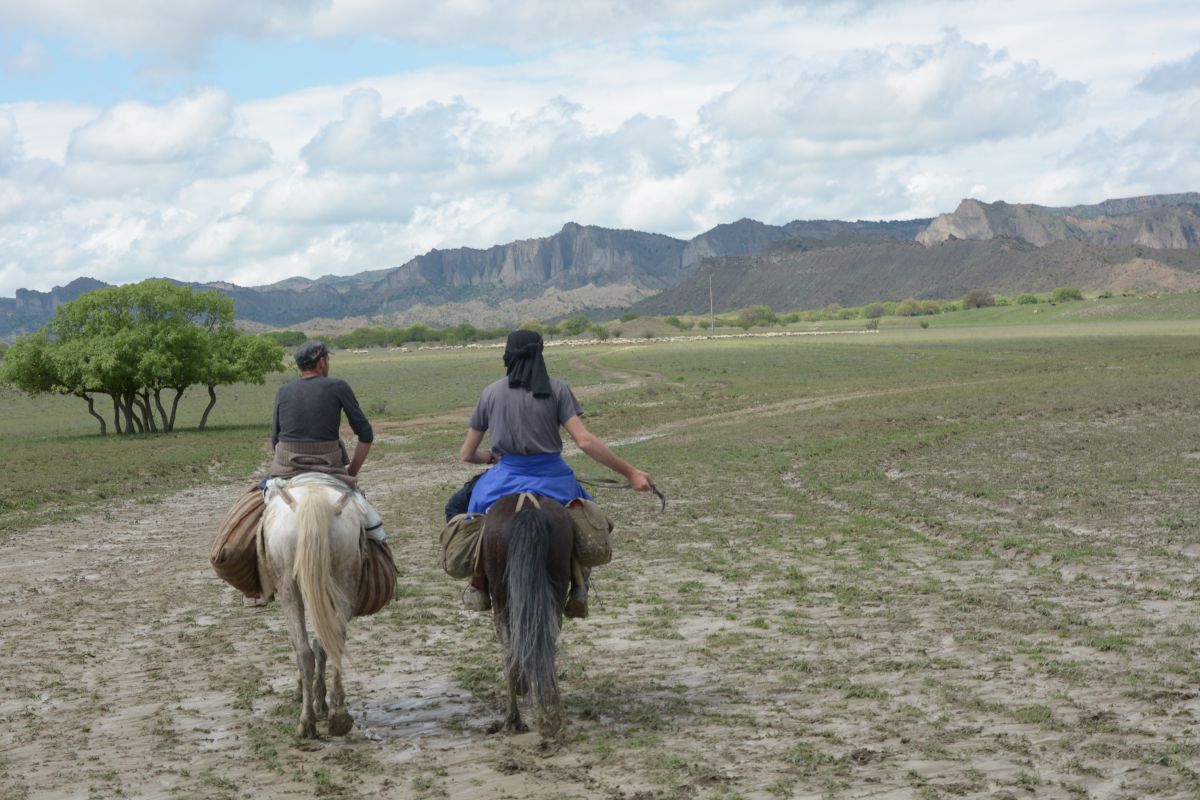    Explore Semi-desert landscapes of Vashlovani in 4 days