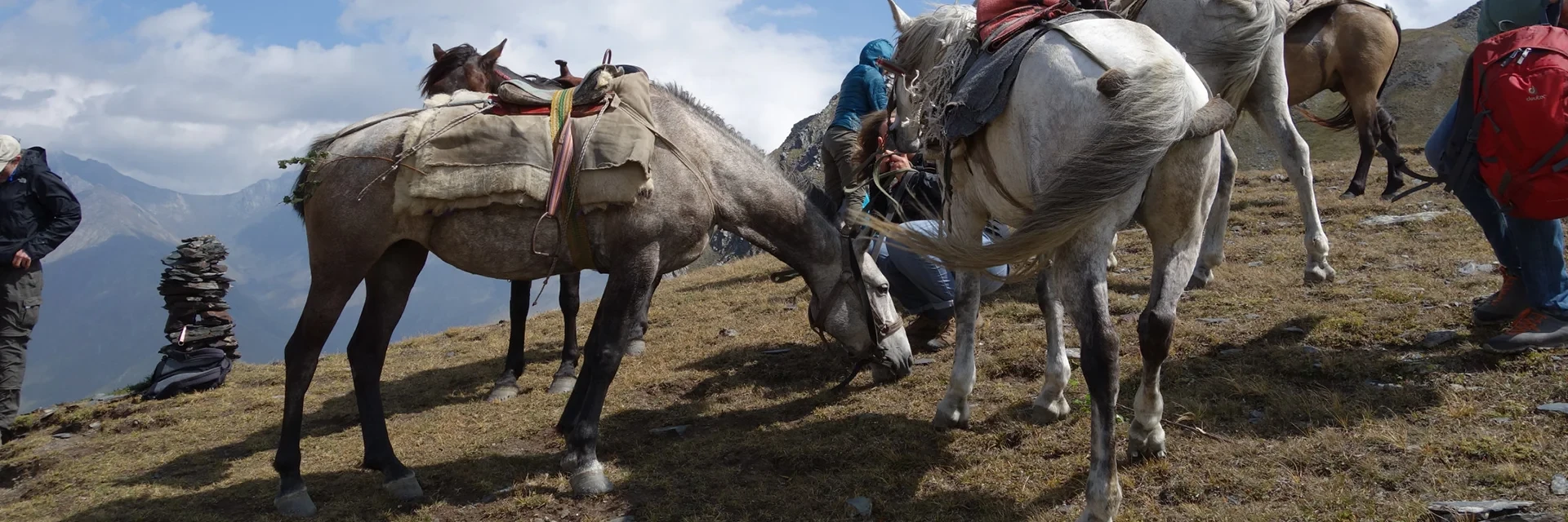 Horseback Riding to the Unknown Trails of Svaneti